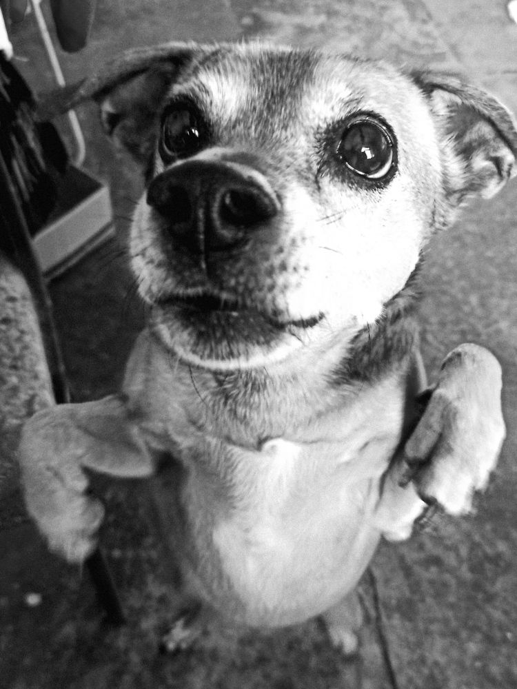 Фотография автора Таня Долгушева