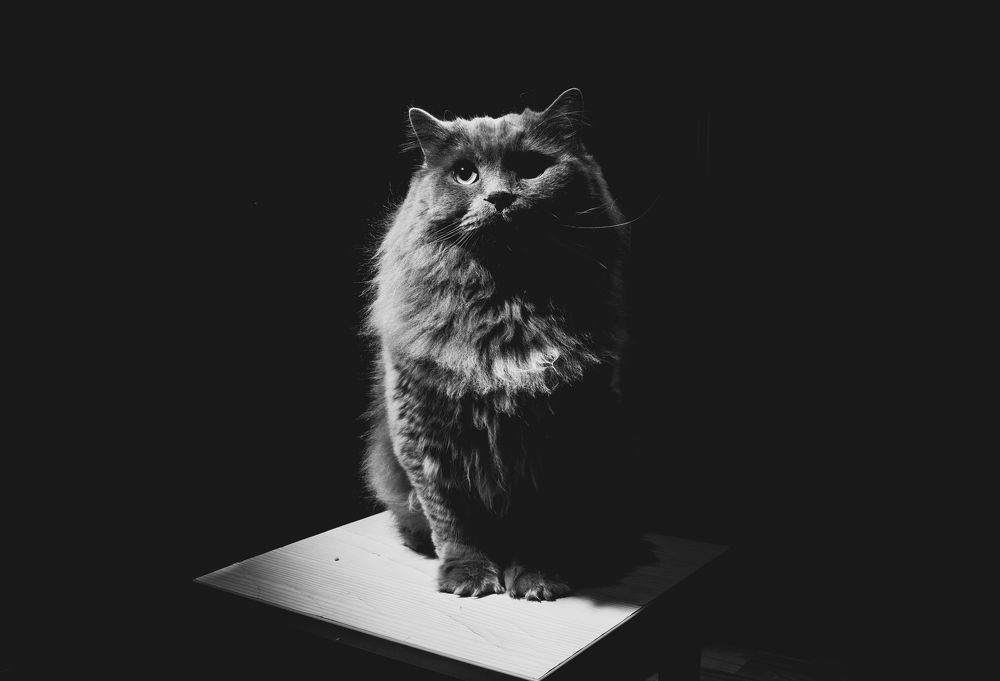 Photograph by Роман Павлов