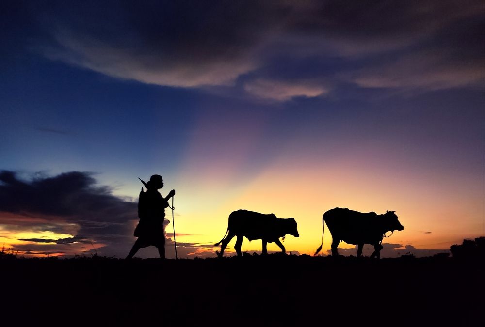 Photograph by Surojit Ghosh