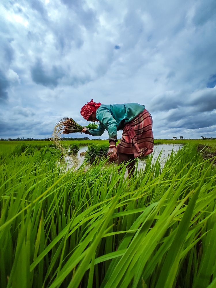 Photograph by Surojit Ghosh