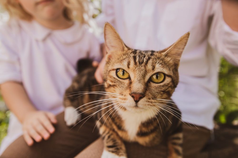 Photograph by Ксения Барулина