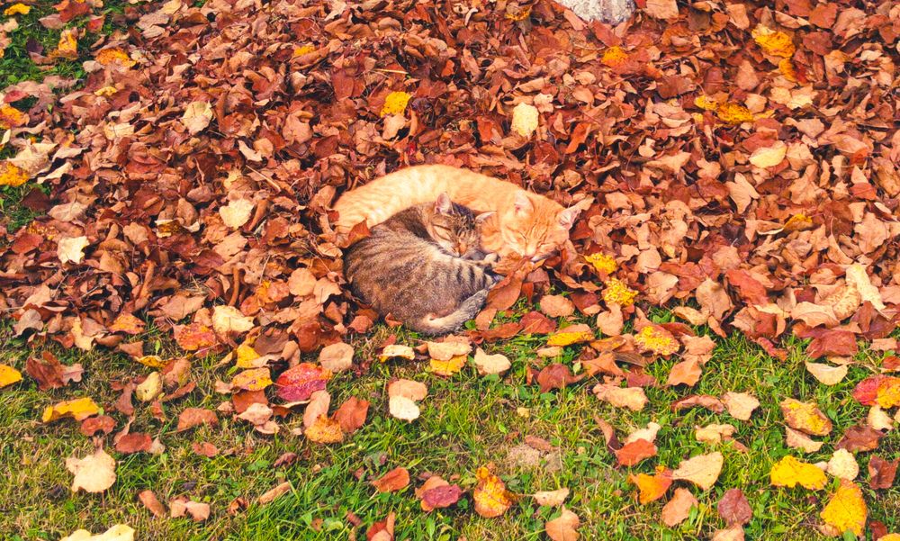 Photograph by Виталий Грачёв