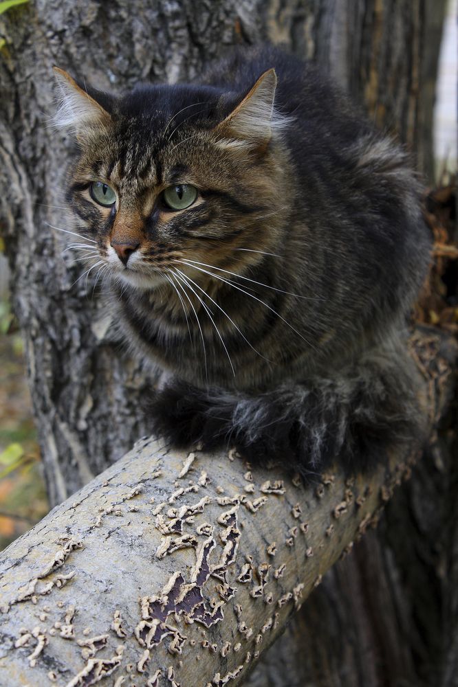 Photograph by Валерий Старков