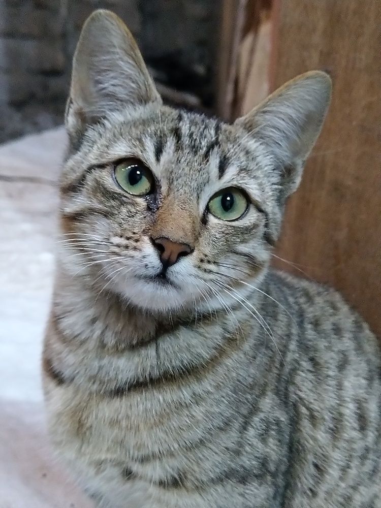 Photograph by sumit sitole