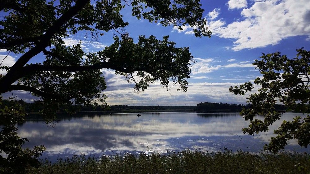 Фотография автора YURY RAMITSAN