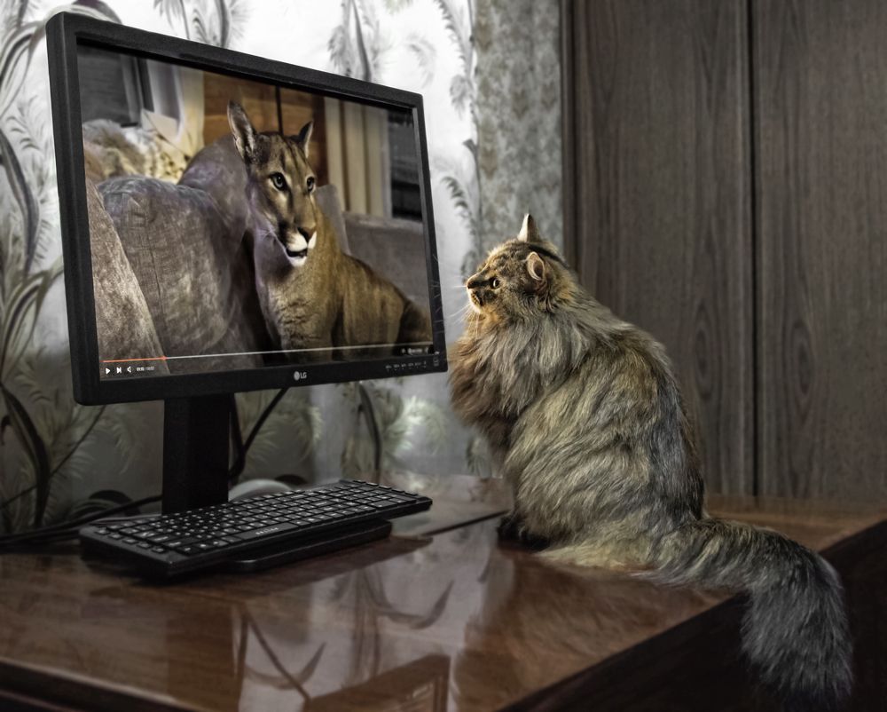 Photograph by Вера Лопатина