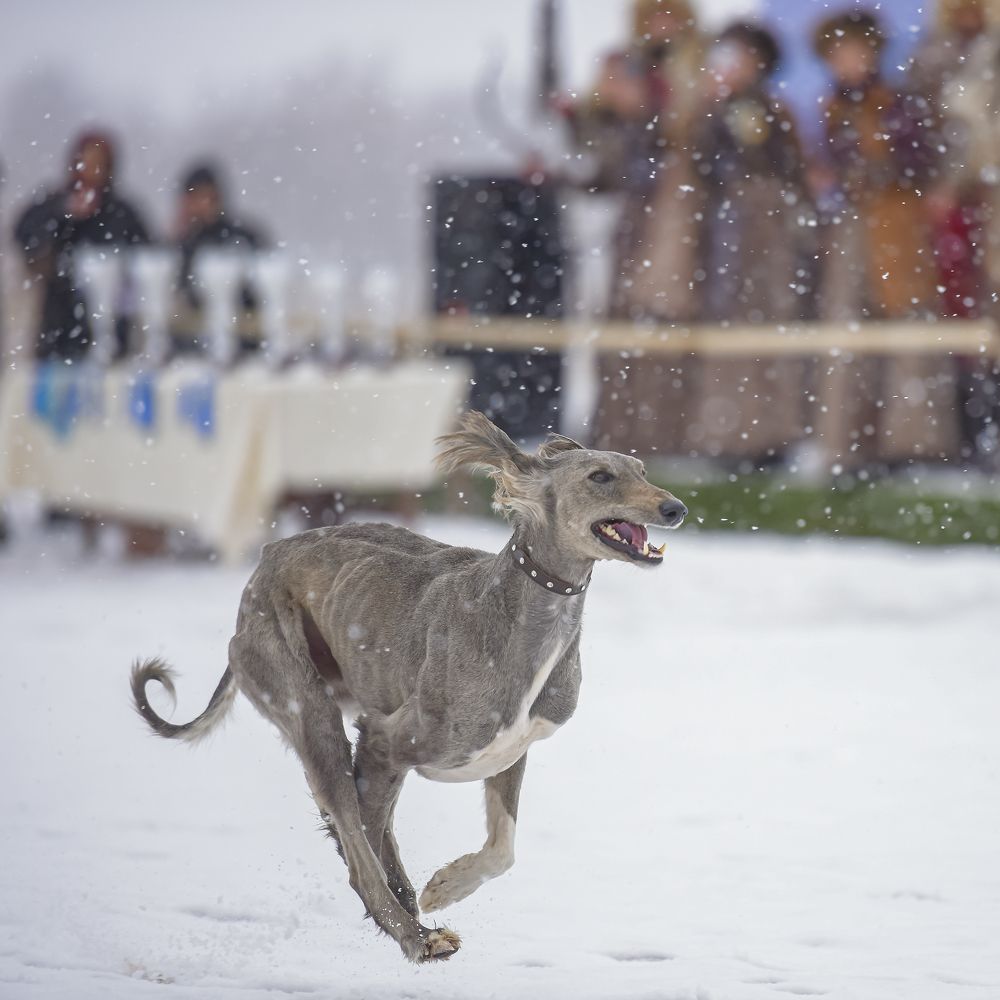 Фотография автора Владимир Пронин