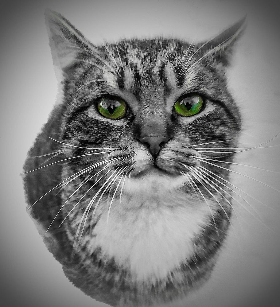 Официальный портрет / Ceremonial Portrait