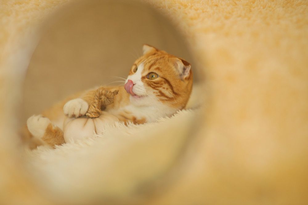 Photograph by Евгения Новоселова