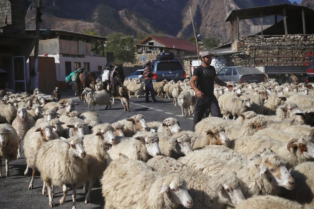 Фотография автора Елена Кириллова