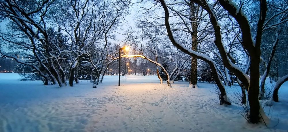 Photograph by Аверина Елена