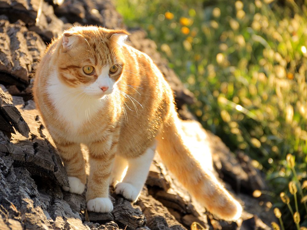 Photograph by Евгения Новоселова