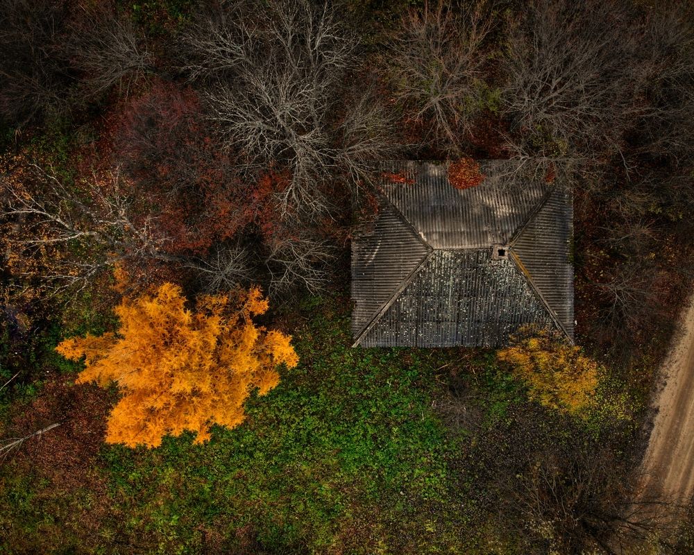 Photograph by Алексей Акулин