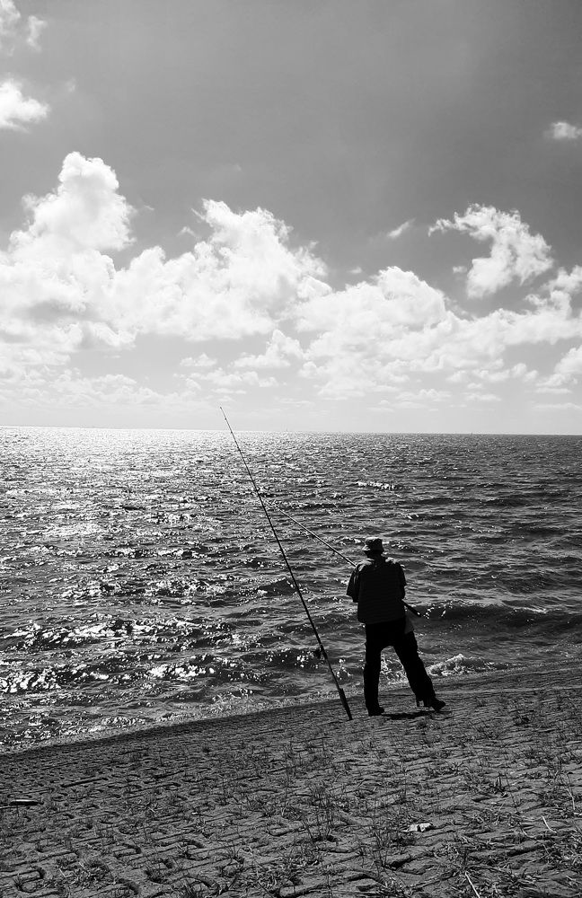 Photo #8765194