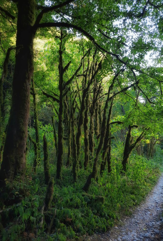 Фотография автора Ольга Кунакова
