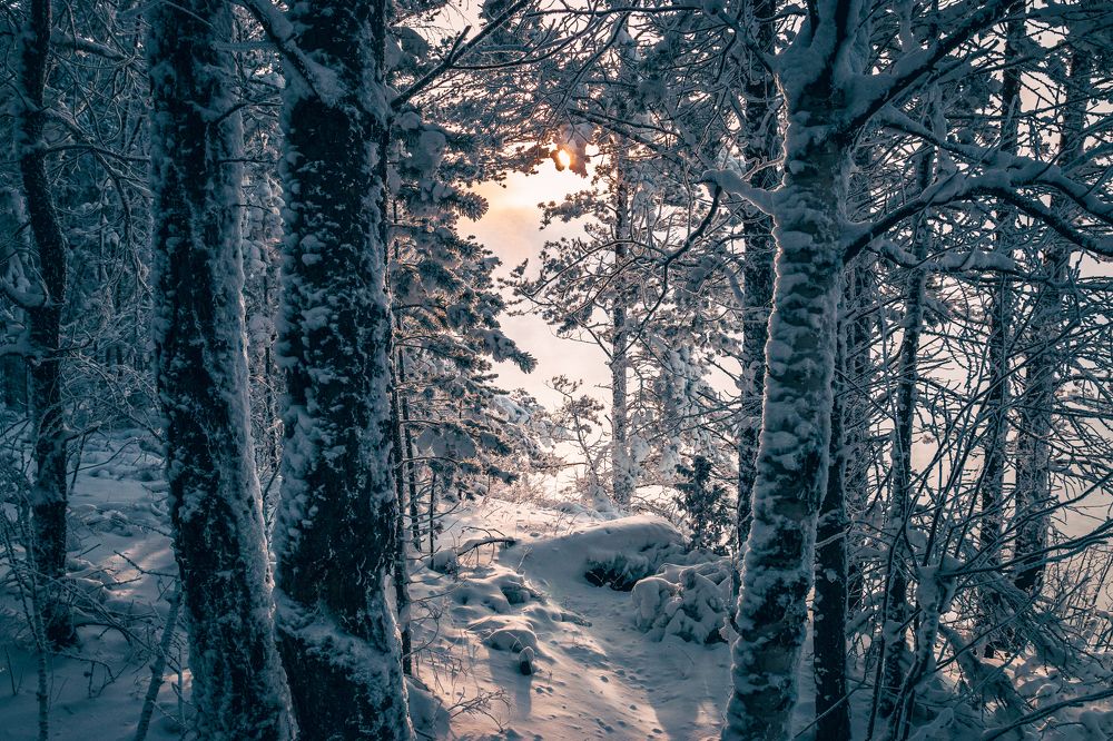 Photograph by Олег Шмельков