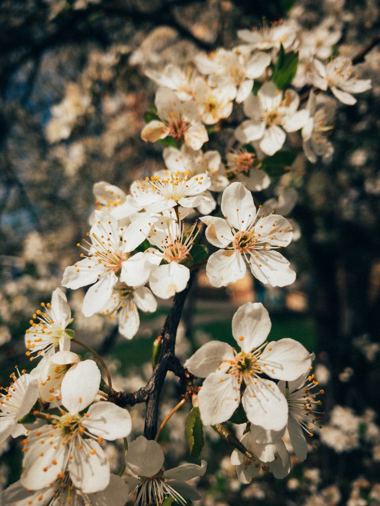 Photograph by Мария Д