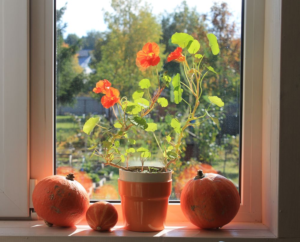 Photograph by Наталья Жигарева