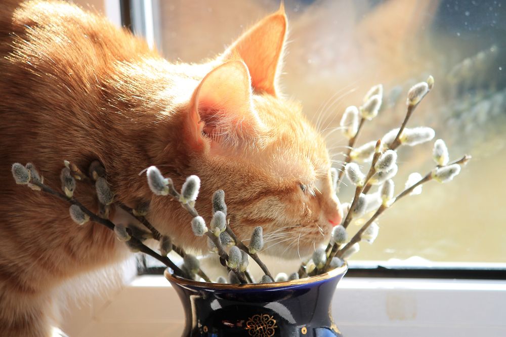 Photograph by Наталья Жигарева