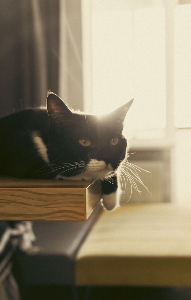 Photograph by Анита