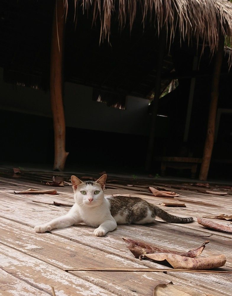 Photograph by K.AKILA NIDUSH