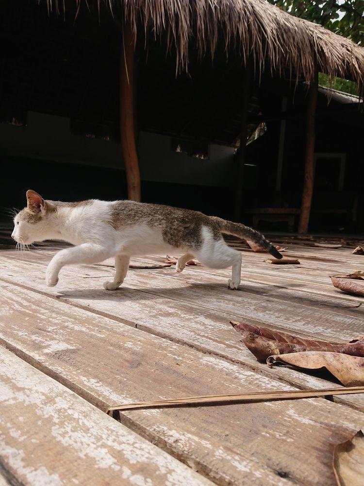 Photograph by K.AKILA NIDUSH