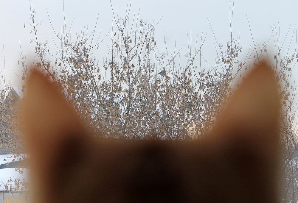 Photograph by Наталья Жигарева