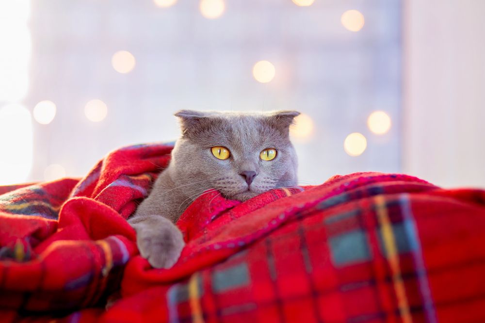 Photograph by Екатерина Кузнецова