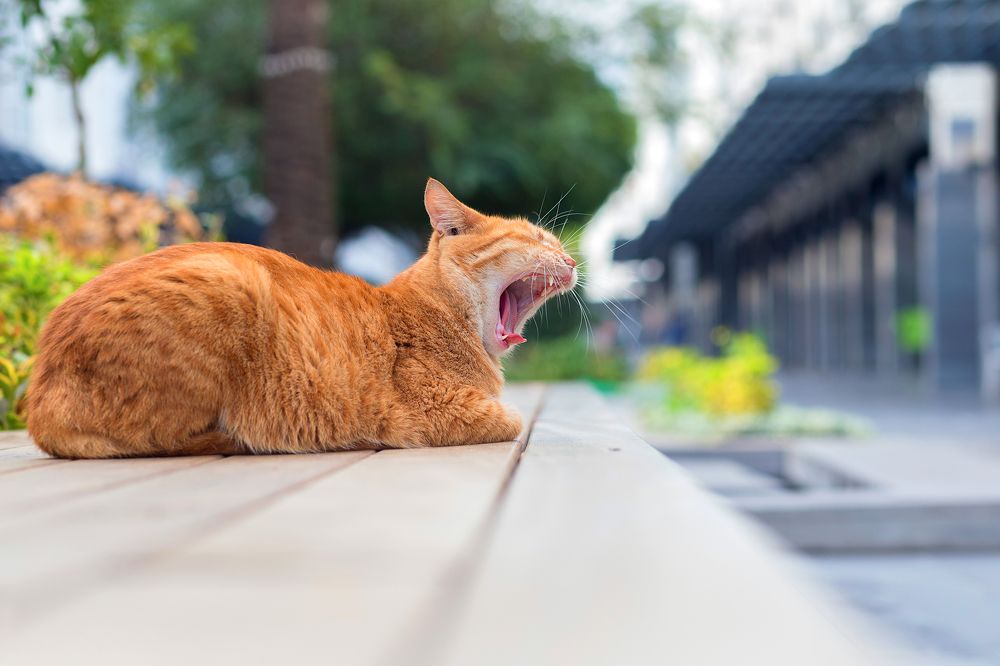 Photograph by Екатерина Кузнецова