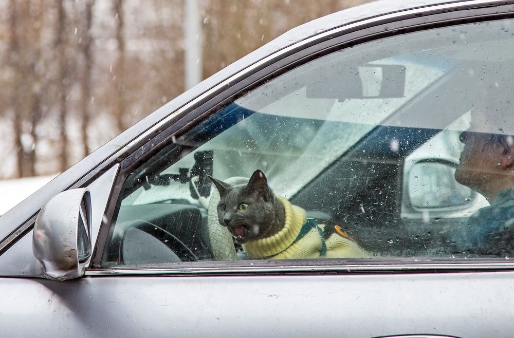 Photograph by Valery Kleymenov