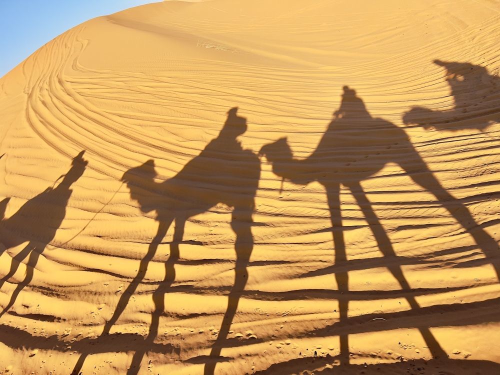 Light and shadows in the desert