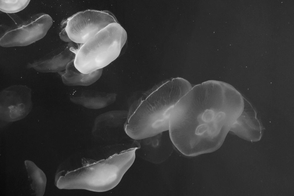 Photograph by Дмитрий Салов