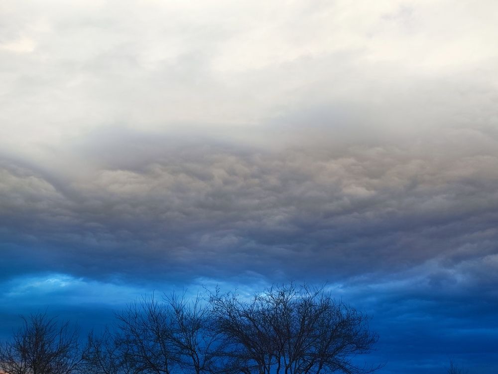 Photograph by Mehrshad Pahlavan