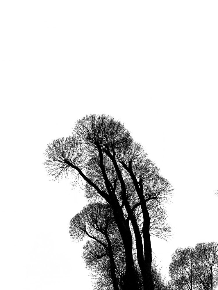 Photograph by Sergei Kutin