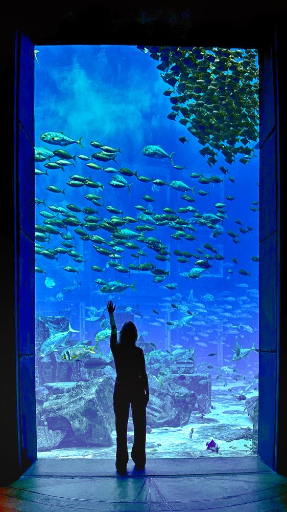 Photograph by Anton Grigoryev