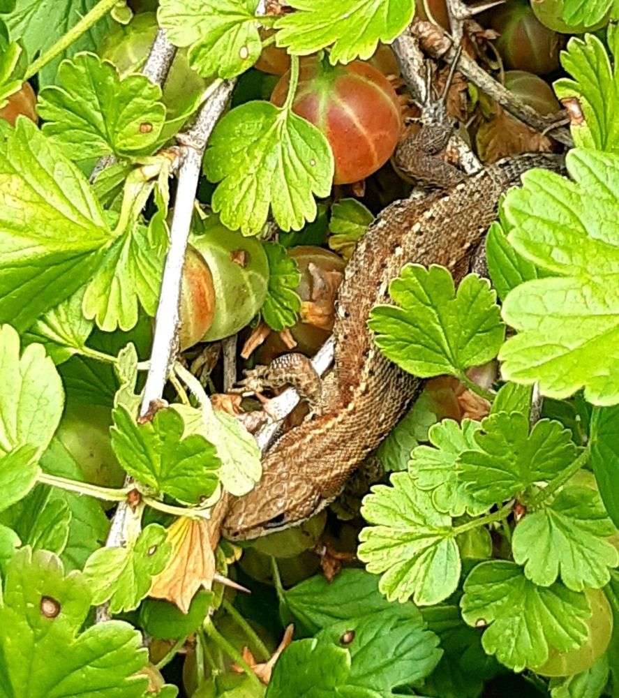 Photograph by Ирина Босак