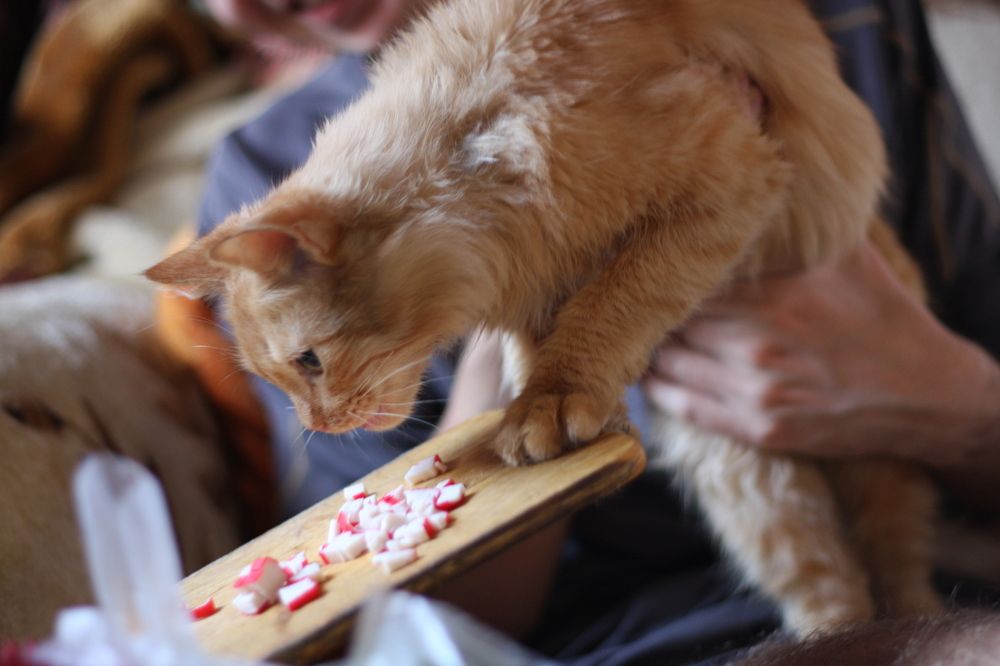 Photograph by Михаил Денисенко