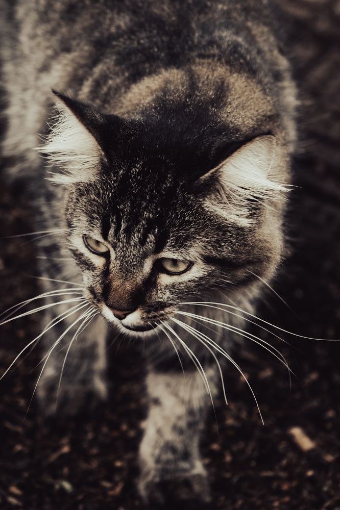 Photograph by Rumi S. Yada