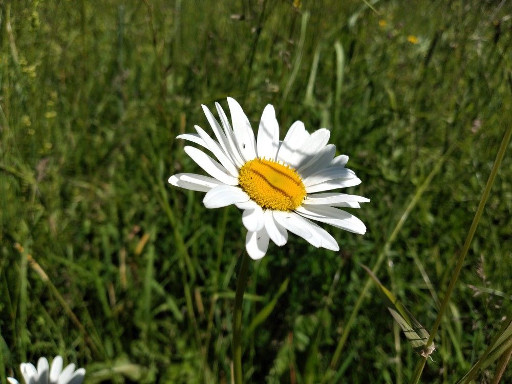 Photograph by София Корепанова