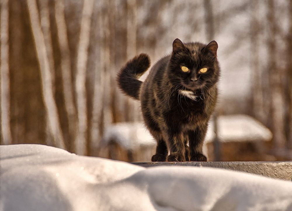 Photograph by Даниил Марков