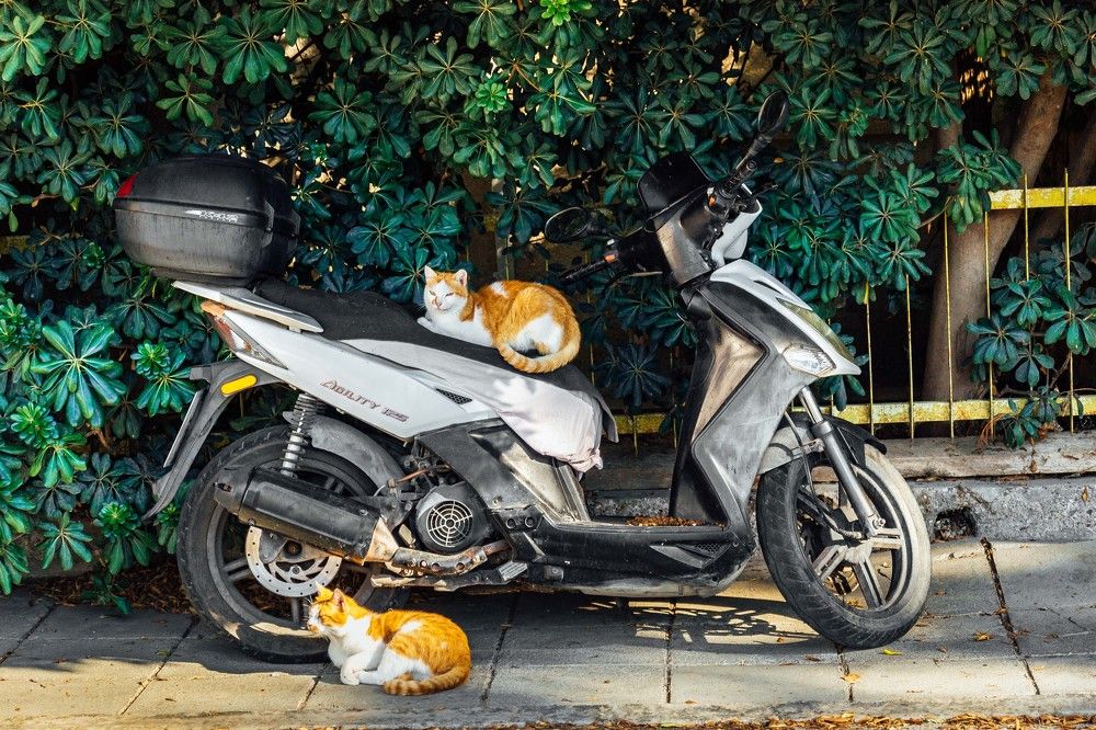 Photograph by Алексей