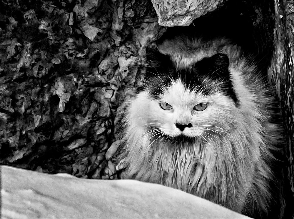 Photograph by Даниил Марков