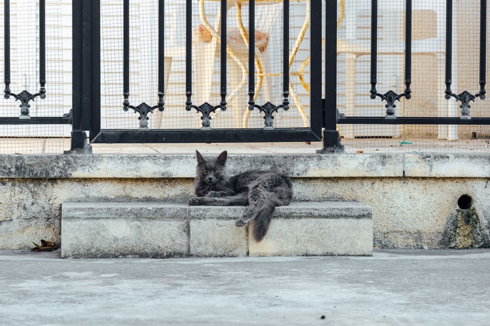 Photograph by Алексей