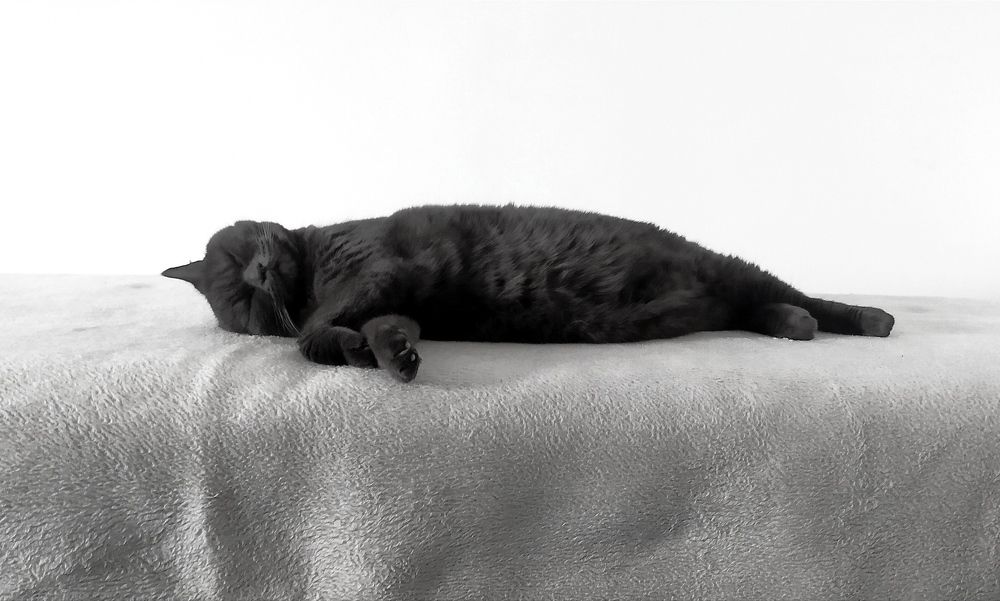 Photograph by Tatsiana Khinevich