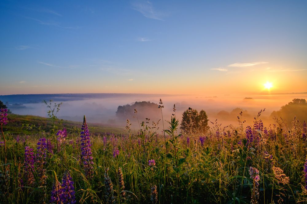 Photograph by Alexander