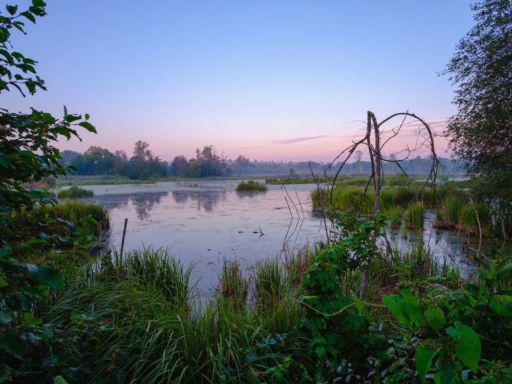 Photograph by Alexander