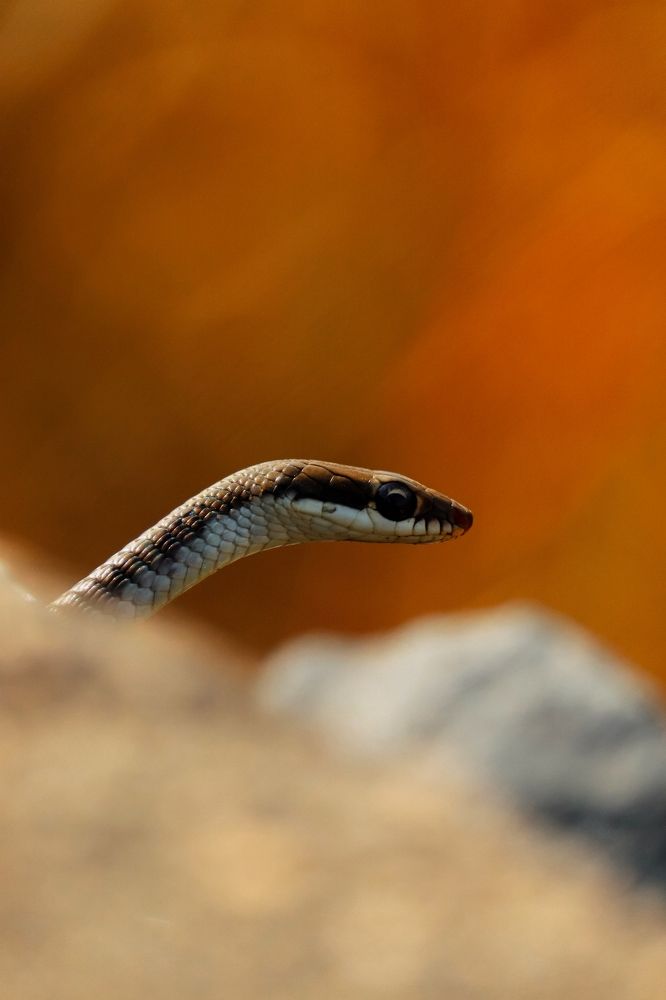 Photograph by Aadarsh choudhary