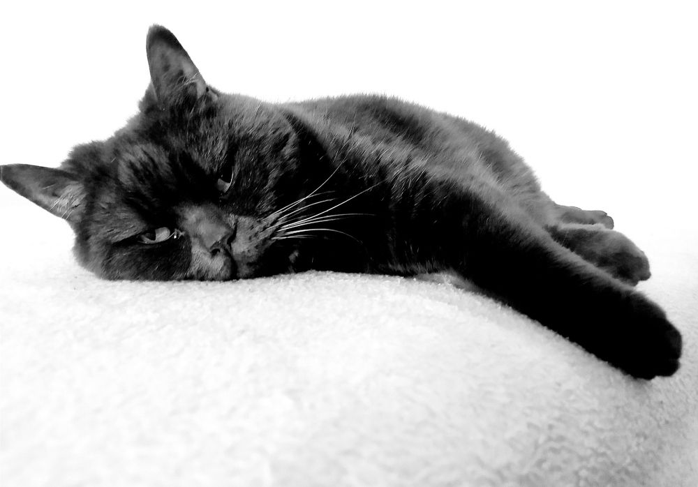 Photograph by Tatsiana Khinevich