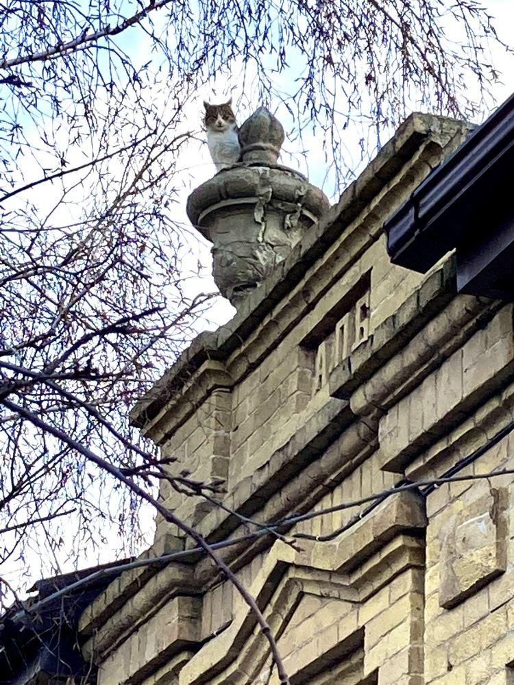 The best decoration of architecture. Лучшее украшение архитектуры.