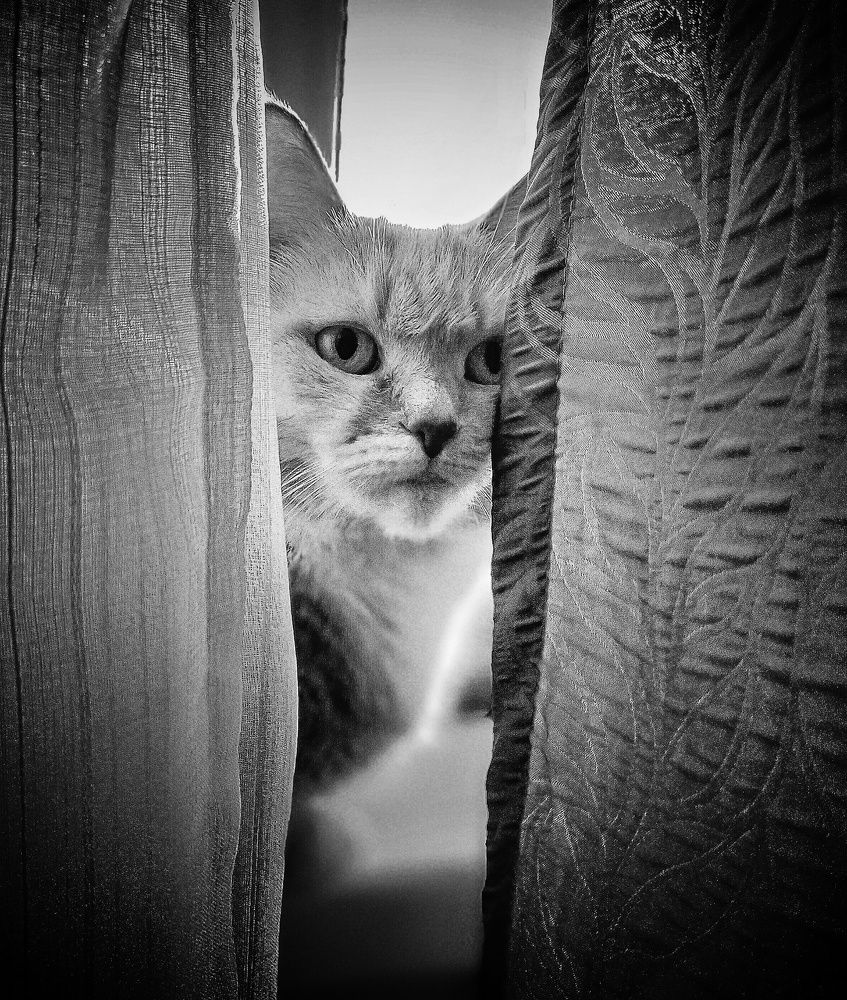 Photograph by Ольга Мартьянова